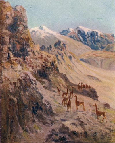 Een Guanaco-jacht door Ernest William Christmas